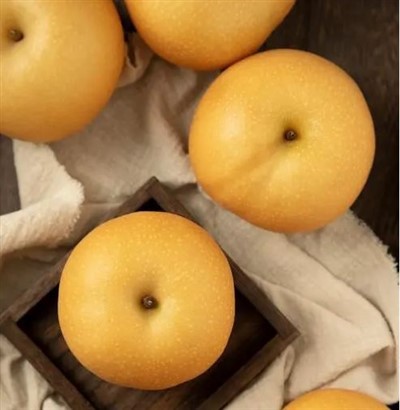 Obří asijská hruška