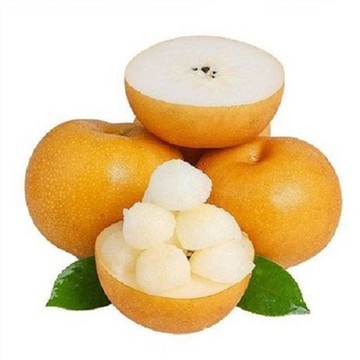 Asijská hruška Qiuyue